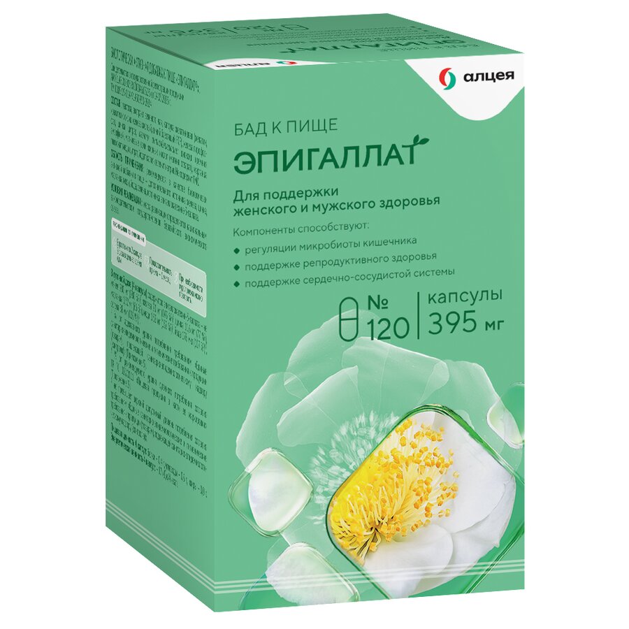 Эпигаллат капс. 395мг №120