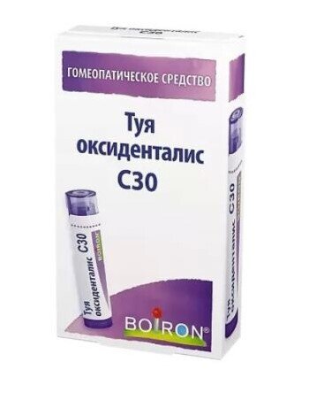 Туя оксиденталис С30 гран. гомепат. 4г